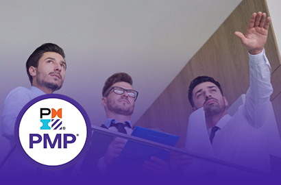 Direcci&oacute;n de Proyectos (PMP)&reg; (Sabatino)