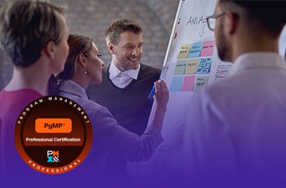 Program Management Professional (PgMP)&reg;